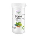 PESTKI WINOGRON EKSTRAKT 95 % OPC (450 mg) 60 KAPSUŁEK - SOUL FARM SOUL FARM (witaminy i ekstrakty)