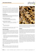CYNK FORTE 30 TABLETEK - PHYSALIS PHYSALIS (olejki eteryczne, suplementy)