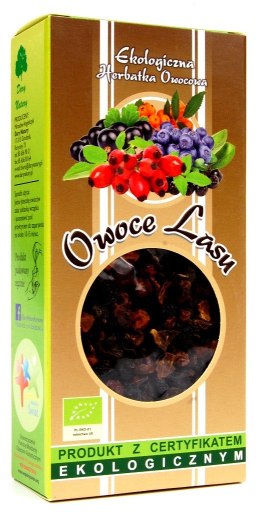 HERBATKA OWOCE LASU BIO 100 g - DARY NATURY DARY NATURY - herbatki