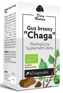 GUZ BRZOZY CHAGA BIO (470 mg) 60 KAPSUŁEK - DARY NATURY DARY NATURY - inne