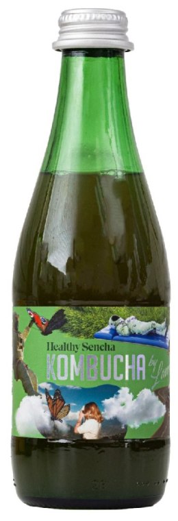 KOMBUCHA HEALTHY SENCHA BIO 330 ml - KOMBUCHA BY LAURENT KOMBUCHA BY LAURENT (kombucha)