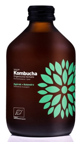 KOMBUCHA Z OGÓRKIEM I KOLENDRĄ BEZGLUTENOWA BIO 330 ml - VIGO VIGO YOKO (kombucha)