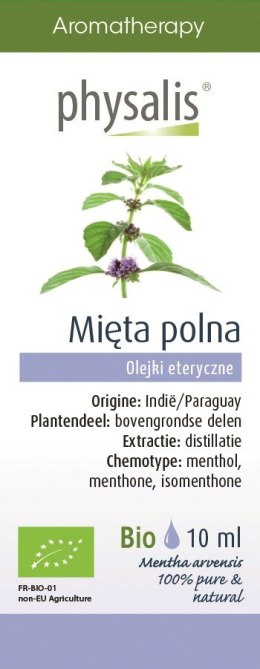 OLEJEK ETERYCZNY MIĘTA POLNA BIO 10 ml - PHYSALIS PHYSALIS (olejki eteryczne, suplementy)