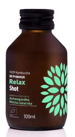 SHOT KOMBUCHA PROBIOTYK RELAX BEZGLUTENOWY BIO 100 ml - VIGO VIGO YOKO (kombucha)