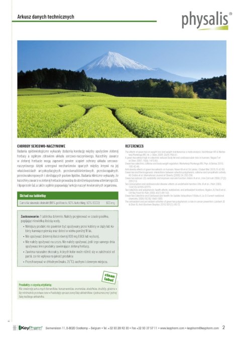 HERBATA ZIELONA 30 TABLETEK - PHYSALIS PHYSALIS (olejki eteryczne, suplementy)