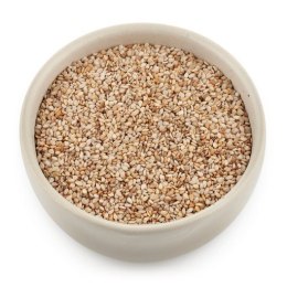 SEZAM BIAŁY NIEŁUSKANY BIO 500 g - THE PLANET THE PLANET (Zakupy przyjazne Ziemi)