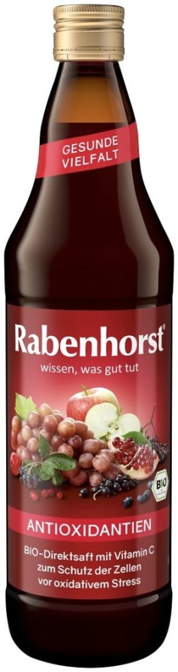 SOK WIELOOWOCOWY NFC ANTYOKSYDANT BIO 750 ml - RABENHORST RABENHORST (soki, napoje)